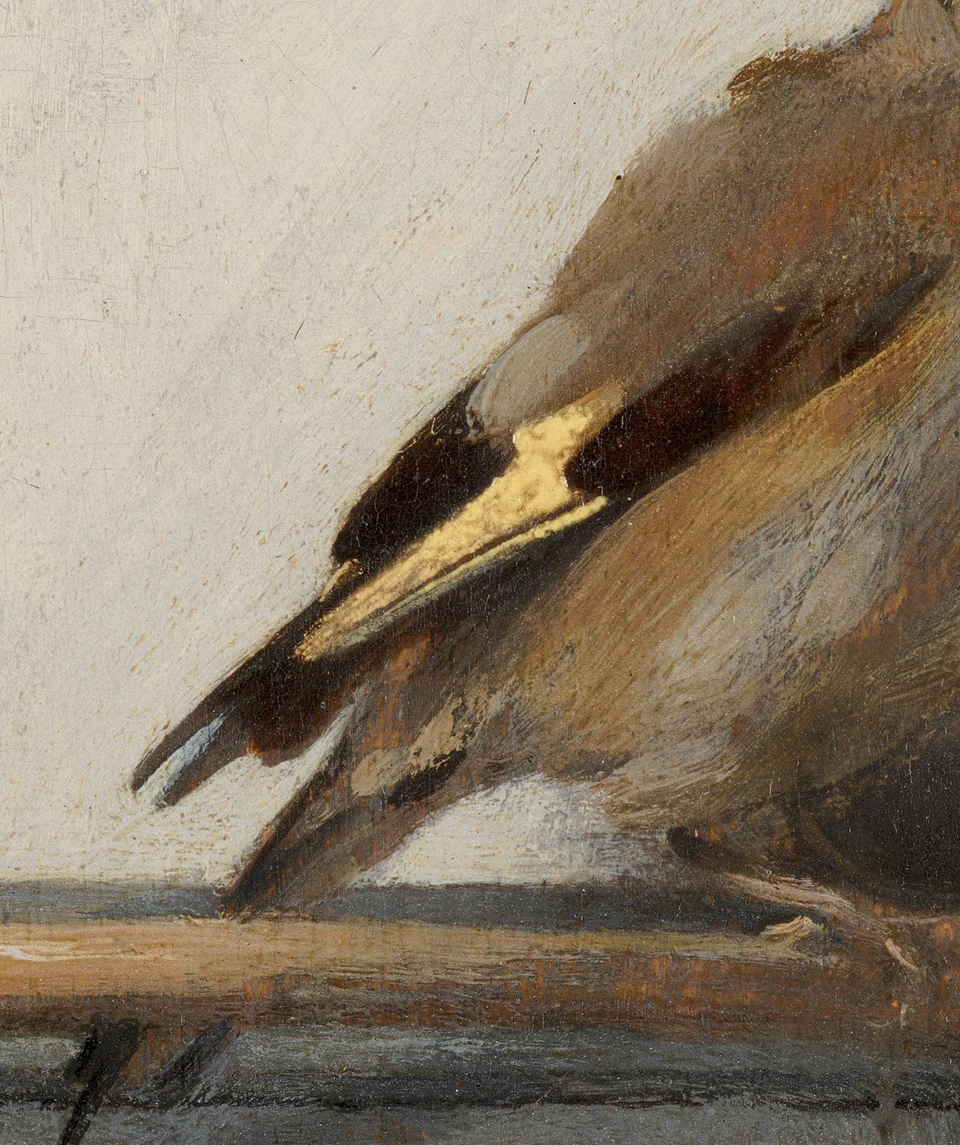 De gele vleugel in Het puttertje van Carel Fabritius