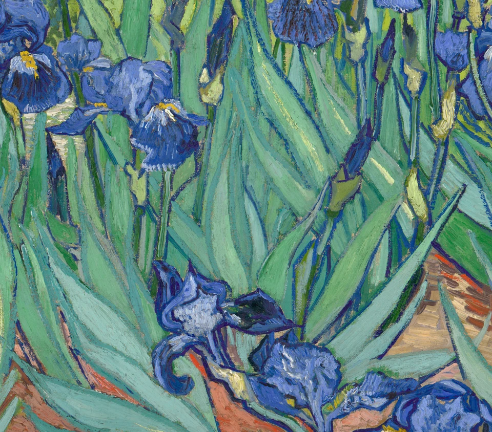 Het groene blad in Irissen van Vincent van Gogh