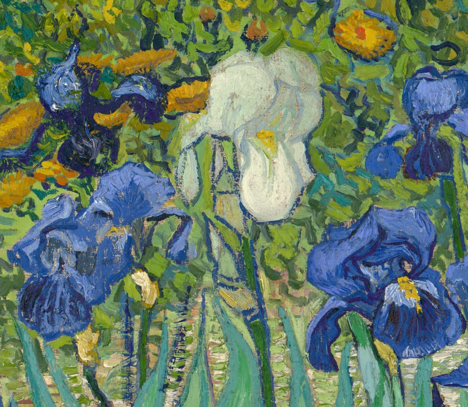 De witte iris in Irissen van Vincent van Gogh
