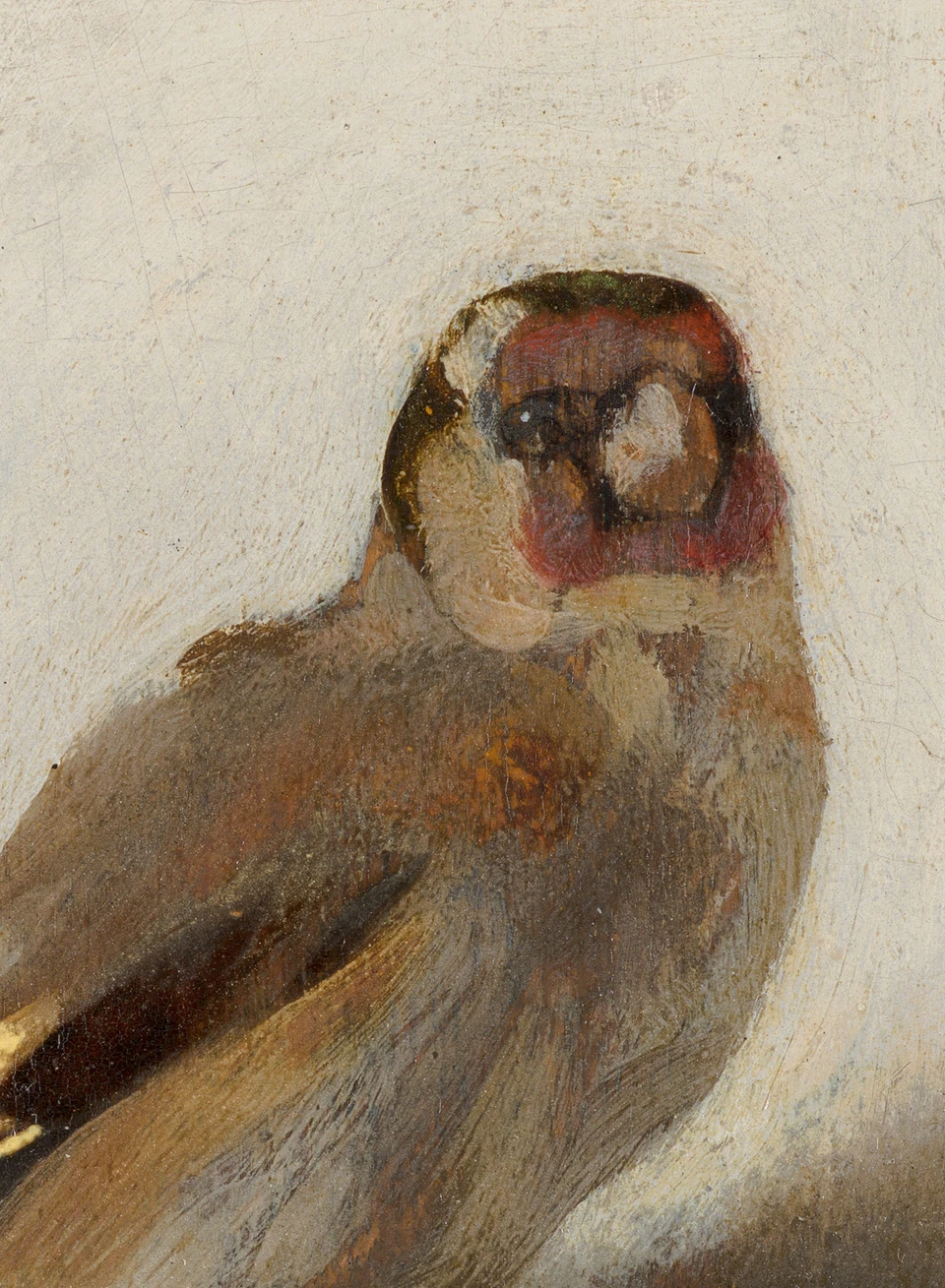 De kop en rode gezichtstekening in Het puttertje van Carel Fabritius
