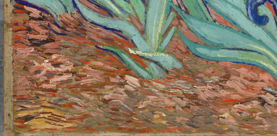 De warme aarde in Irissen van Vincent van Gogh