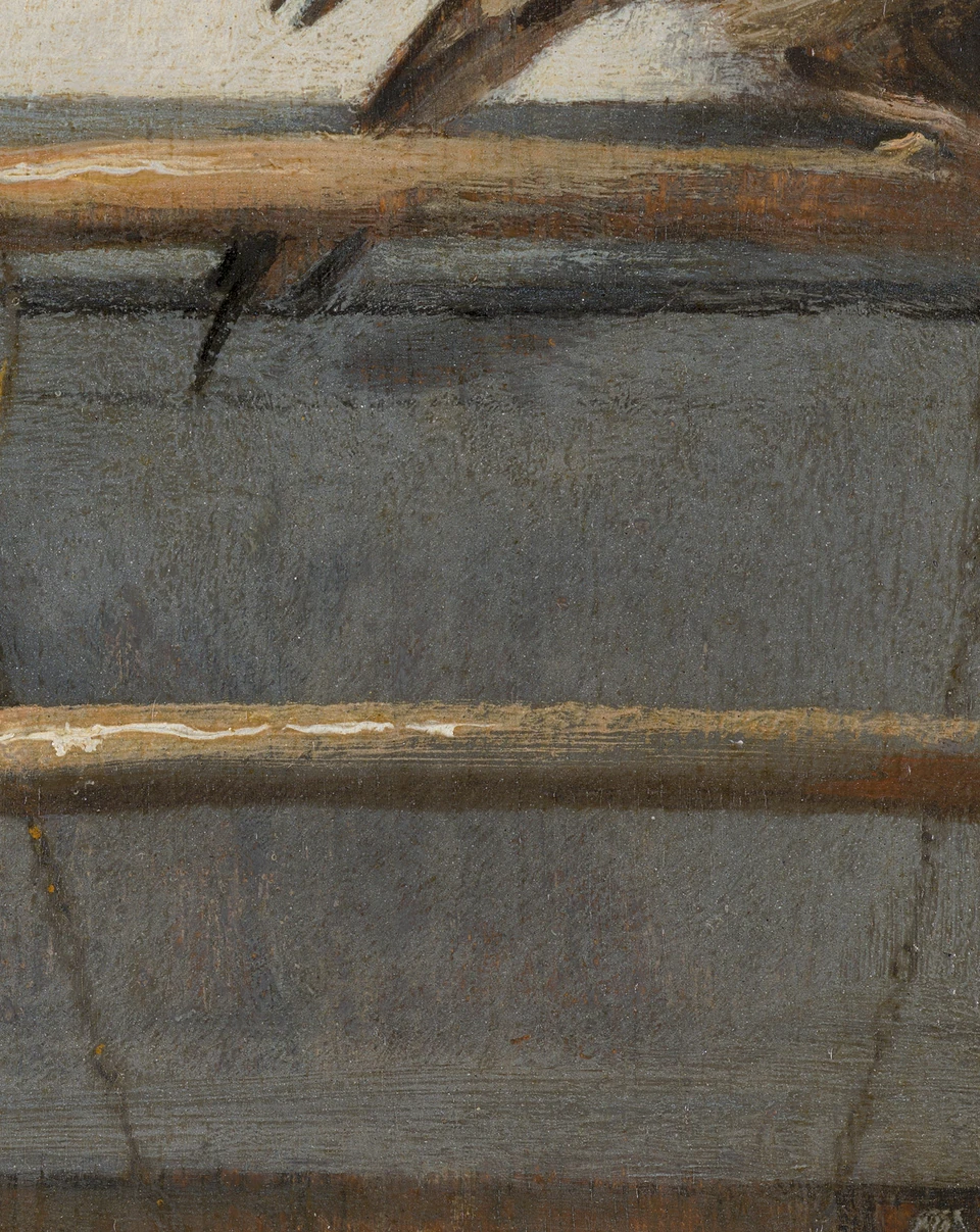 Het kettinkje in Het puttertje van Carel Fabritius