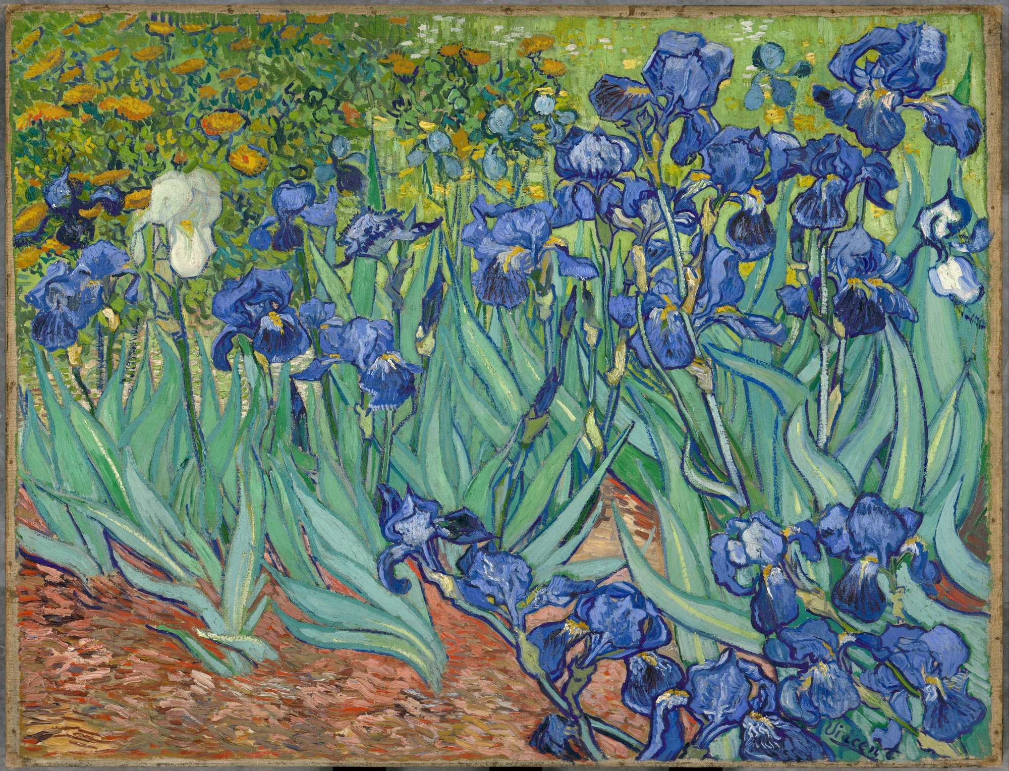 Irissen van Vincent van Gogh uit 1889