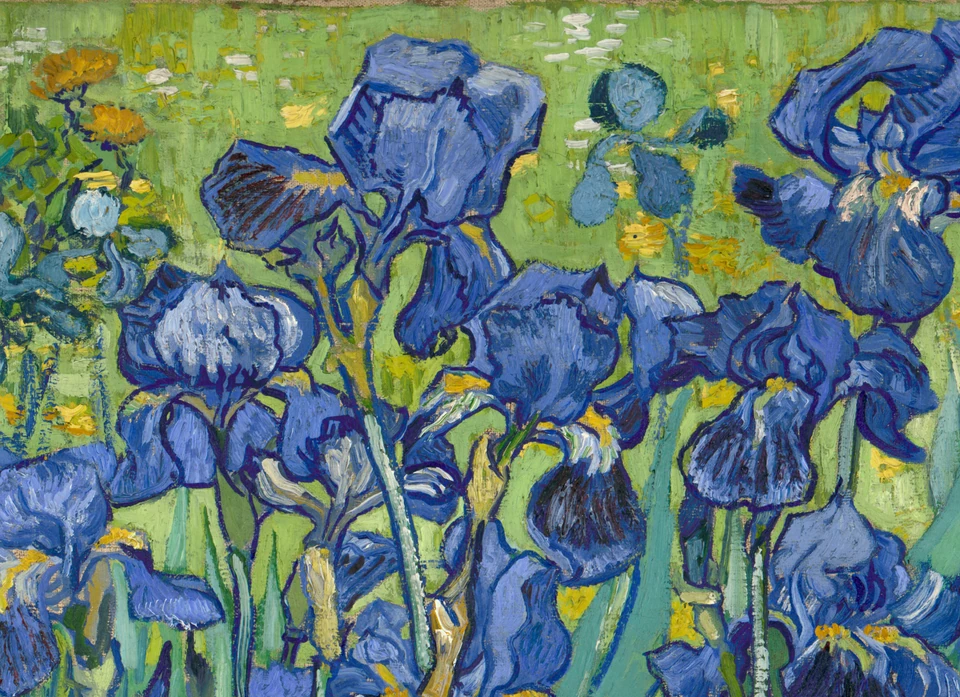 Blauwe bloemblaadjes in Irissen van Vincent van Gogh
