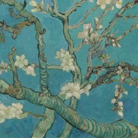 Stam en dikke tak in Amandelbloesem van Vincent van Gogh