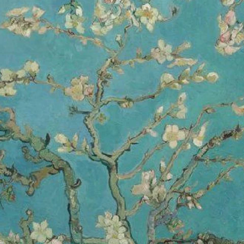 Vertakkingen in Amandelbloesem van Vincent van Gogh